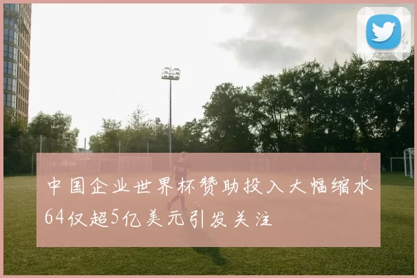 中国企业世界杯赞助投入大幅缩水64仅超5亿美元引发关注