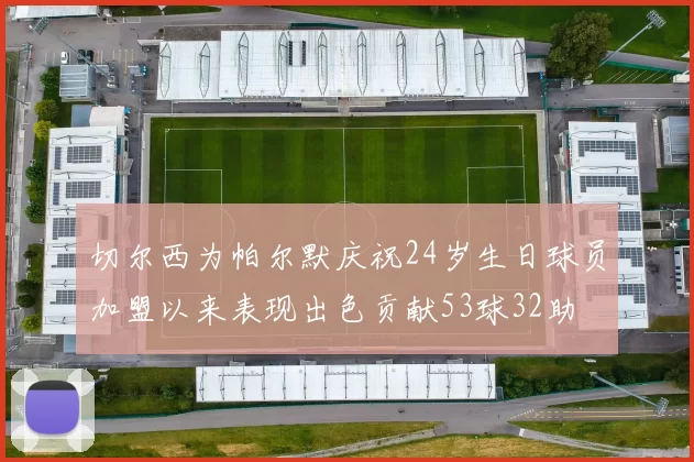 切尔西为帕尔默庆祝24岁生日球员加盟以来表现出色贡献53球32助