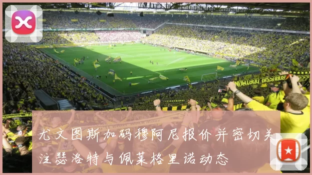 尤文图斯加码穆阿尼报价并密切关注瑟洛特与佩莱格里诺动态
