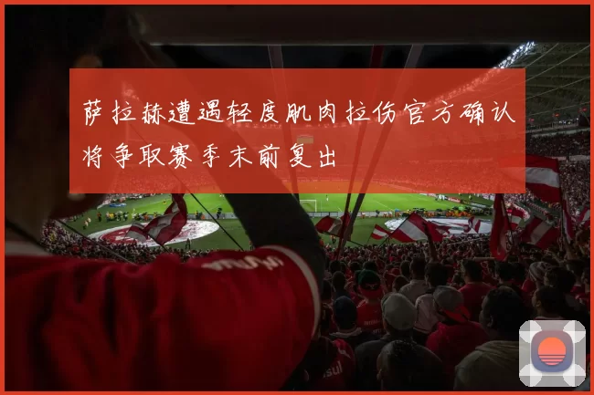 萨拉赫遭遇轻度肌肉拉伤官方确认将争取赛季末前复出